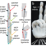 ETH Zurich 3D Prints Tendon-Driven Robotic Hand