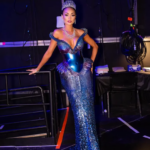 3D Printed Dress Shines at Miss Universe Pageant