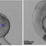 Magnetic Microscopic Medical Robots