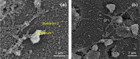 Researchers Study Use of Graphene Oxide in 3D Printed Concrete