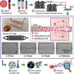 Microfluidics 3D Printing UCLA Lab Chips