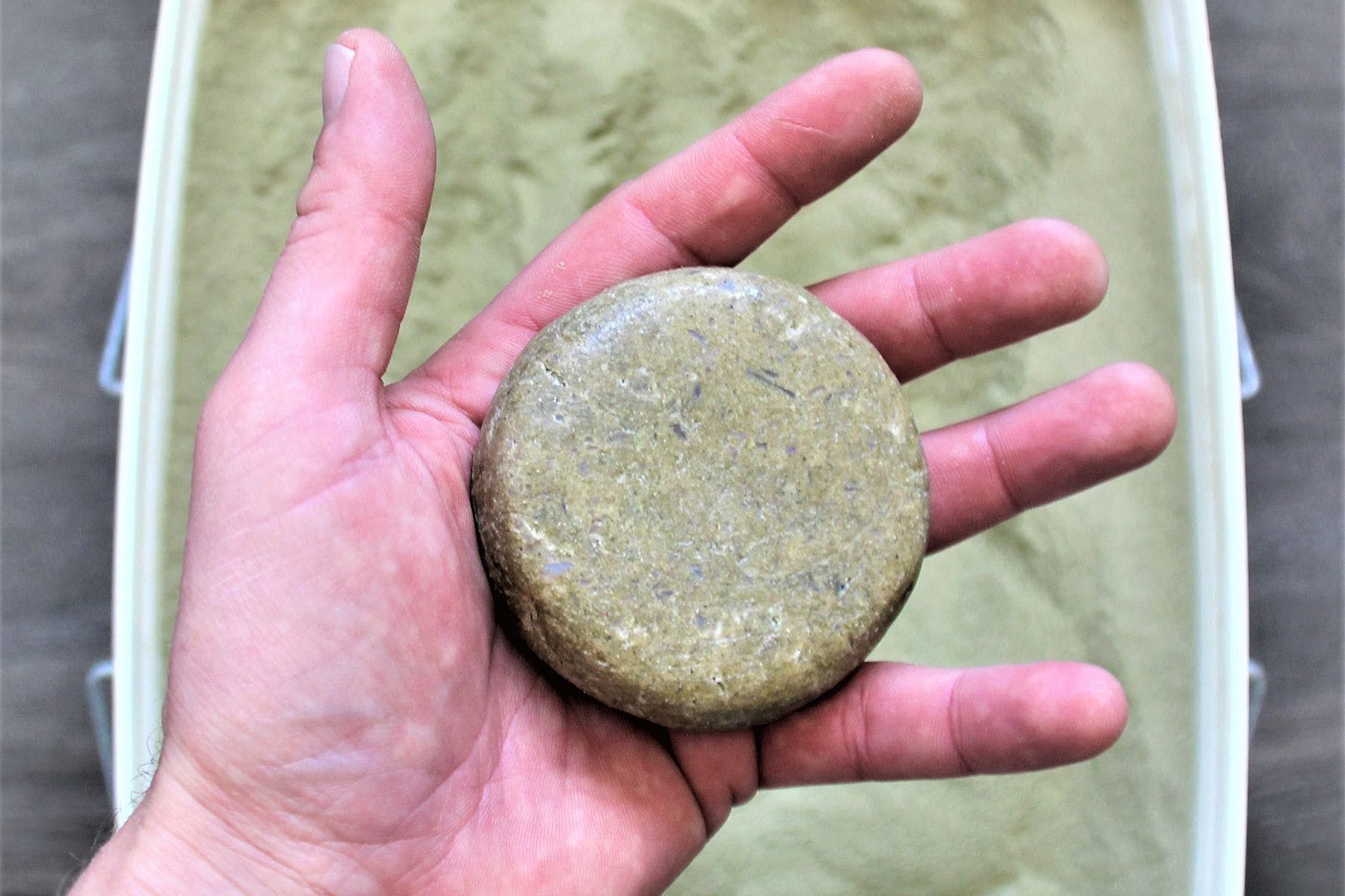 An algae puck