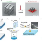 SUTD Develops New Technique for Precise Shrinkage in 3D Printing