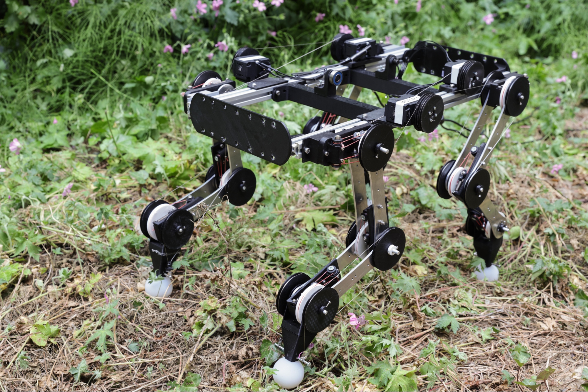 3D Printing Helps Create Motor-Free Robot Dog
