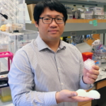 Hollister Lab Researches Auxetic Soft Tissue 3D Printing