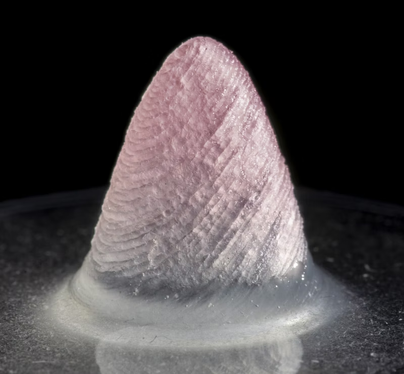 Researchers 3D Print Beating Heart Ventricle 