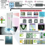 Researchers Develop New Pipeline for Rapidly Printing Organs