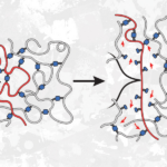 Researchers Find Unusual Way of Strengthening Polymer Bonds