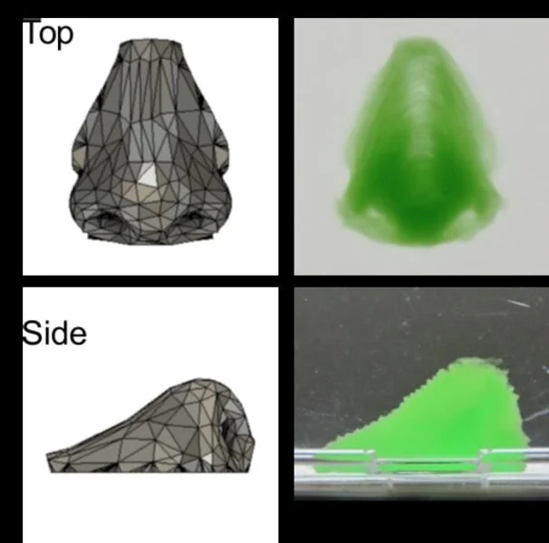 Osaka University Makes Progress in Precision Bioprinting
