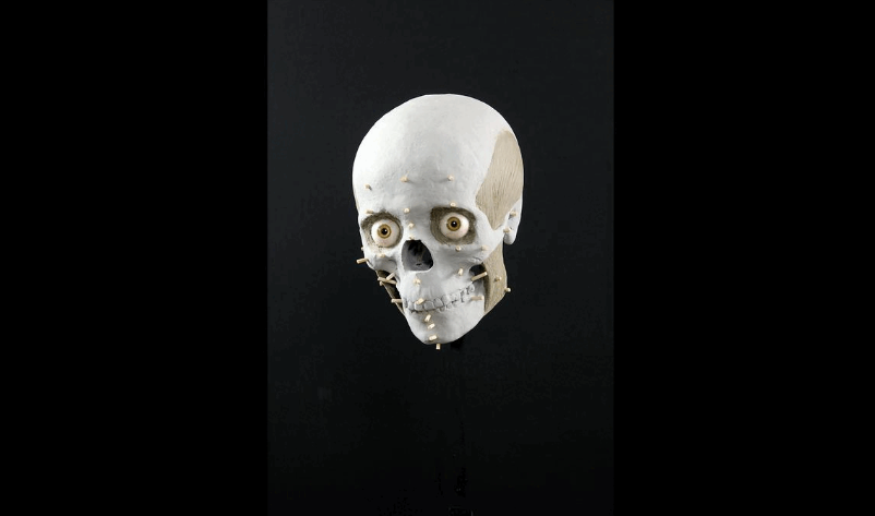 Bronze Age Facial Reconstruction Achieved with 3D Printing
